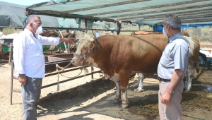 ALİAĞA’DA KURBAN KESİM YERLERİ BELİRLENDİ