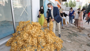 Başkan Arda ve tüm çalışanlar patateslerin dağıtımı için seferber oldu!
