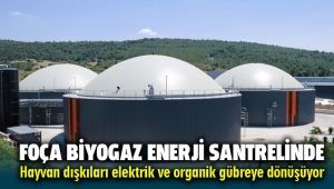 FOÇA BİYOGAZ ENERJİ SANTRELİNDE Hayvan dışkıları elektrik ve organik gübreye dönüşüyor