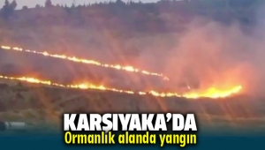 Karşıyaka'da Ormanlık Alanda Yangın