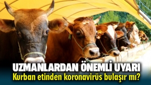 Kurban etinden koronavirüs bulaşır mı ? Uzman isimden önemli uyarılar
