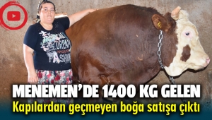 Menemen'de kapılardan geçemeyen 1400 kg'lik Boğa satışa çıktı