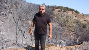 CHP'li Serter’den, Pakdemirli’ye orman yangınları çağrısı