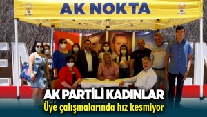 AK Partili kadınlar üye çalışmalarında hız kesmiyor