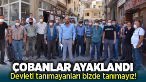 Çobanlar ayaklandı