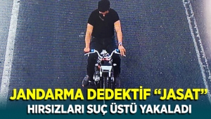 Jandarma Dedektifi