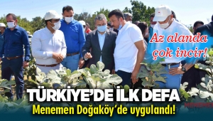 Türkiye'de ilk defa Menemen'de Sık Dikim ve Telli Terbiye ile incir yetiştirildi