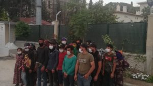 15 kişilik minibüsten 27 kişi çıktı, say say bitmedi