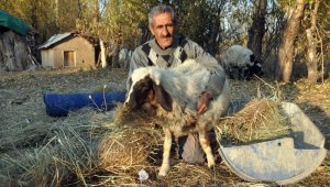 'Sarı Kız'ın sahibi Mehmet Emin Amca artık çok mutlu