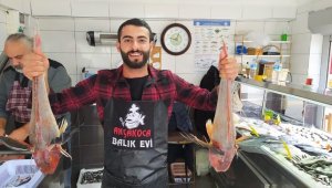 5'er kiloluk kırlangıç balıkları 500 liradan satılıyor