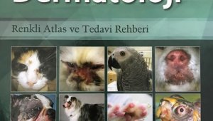 ADÜ'lü öğretim üyesinin çevirisini yaptığı kitap yayınlandı