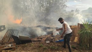 Antalya'da korkutan palmiye yangını