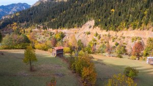 Artvin'den sonbahar manzaraları