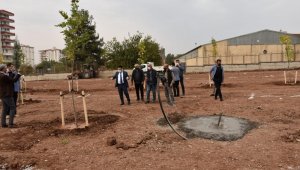Bağlar, yeni nefes alanlarıyla güzelleşiyor