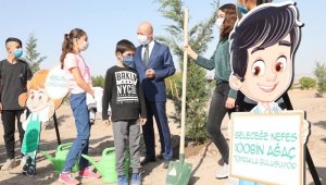 Başkan Çolakbayrakdar, Mevlid Kandili'nde ağaç dikti