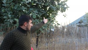 Berde'deki saldırıda hayatını kaybeden annesinin ölüm haberini cephede aldı