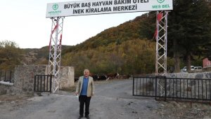 Besicilerin tercihi Hayvan Bakım Oteli