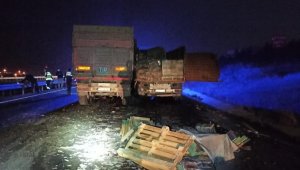 Bilecik'te 2 çekici çarpıştı: 1 ağır yaralı