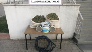 Bingöl'de 21 kilogram esrar ve kenevir tohumu ele geçirildi