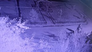 Bir gecede 8 motosiklet birden çaldılar