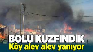 Bolu Kuzfındık köyü alevlere teslim oldu
