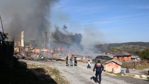 Bolu'da köyde çıkan yangın 12 evi kül etti