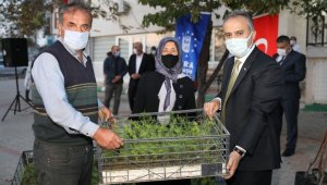 Bursa Büyükşehir'den dağ yöresine nitelikli tarım desteği