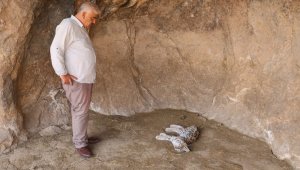 Canlısını hiç görmemişlerdi, ölüsü ile karşılaştılar