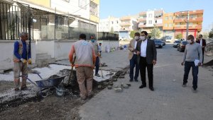Canpolat çalışmaları denetledi