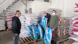 Çiftçilere yem bitkisi tohumu dağıldı