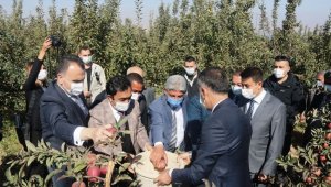 DAP ve DAKA'dan Ahlat'taki elma yetiştiricilerine destek