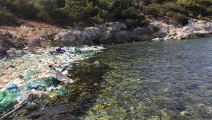Denizin ortasında utandıran manzara