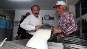 Denizlili süt üreticilerine 16 milyonluk müjde