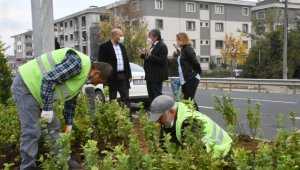 Düzce'ye 1 milyon 300 bin liralık bitki hibesi