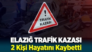 Elazığ'daki kazada 2 kişi hayatını kaybetti