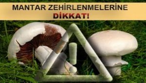 Emet'te mantar zehirlenmelerine karşı uyarı