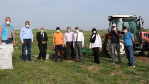 Glütensiz Mutfak Projesi'ne BAP'tan destek