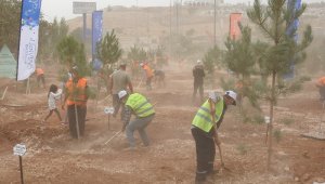 Habeş Kanyonu ile Fırat Nehri arasında 27 milyon fidan dikilecek