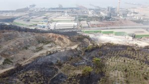 Hatay'da yanan alanlar havadan görüntülendi