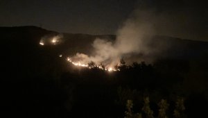 Hatay'da yangın kontrol altına alındı