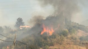 Hatay'daki orman yangını yerleşim yerlerine sıçradı