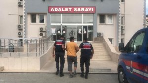 Hırsızlık zanlısı jandarmadan kaçamadı