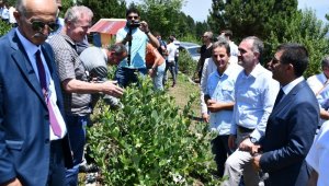 İnegöl tarımı şahlanıyor