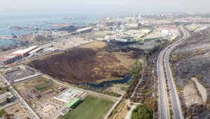 İskenderun'da 55 dönümlük kuş cenneti de kül oldu