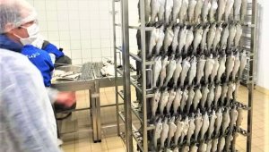 İşletmeler ve pazar yerlerinde balık denetimi yapıldı