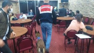 İzmir Bornova'da dernek ve depolara kumar baskınında 390 bin lira ceza kesildi