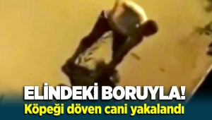 İzmir'de elindeki boruyla köpeği döven cani yakalandı