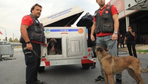 İzmir'de olan deprem bölgesine Sakarya'dan destek
