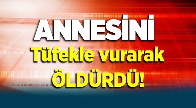 Kahramanmaraş Nurhak'da annesini tüfekle vurarak öldürdü