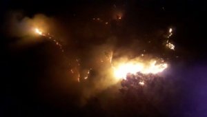 Kahramanmaraş'ta orman yangını
